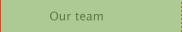 Our team